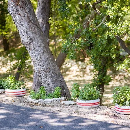 Διαμέρισμα Armonia